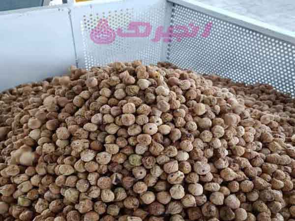 انجیر خشک یکی از میوه‌های خشکی است که در سراسر جهان به‌عنوان یک منبع غذایی مهم مصرف می‌شود. انواع مختلفی از انجیر خشک وجود دارد که تفاوت آن‌ها در رنگ، طعم و ترکیبات موجود در آن‌هاست. در این وبلاگ به معرفی دو نوع مختلف انجیر خشک، به‌عنوان انجیر استهبان و انجیر خشک صادراتی، پرداخته خواهد شد. - انجیر ا ...