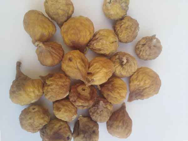 یکی از اصطلاحاتی که خریداران انجیر خشک در بازار خشکبار با آن روبرو هستند، انجیر خشک لاکی است. زمانی که انجیر دارای رنگ قهوه ای نزدیک به رنگ شکلاتی است، به آن انجیر لاکی می گویند. با قرار گرفتن انجیر در برابر نور خورشید، پوست میوه سفت شده و اندکی تیره میگردد. این انجیر در سایزهای مختلف و شکل ظاهری مت ...