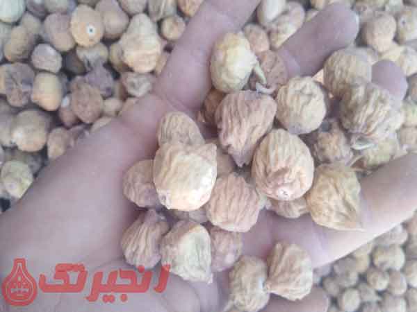 وقتی کشوری تولید کننده یک محصول باشد، افراد بسیاری به صورت مستقیم و غیر مستقیم میتوانند اقدام به فروش آن محصول کرده و با ساخت برند مخصوص خودشان به صورت فیزیکی یا آنلاین به شروع کسب و کار مخصوص خود اقدام کنند. یکی از بهترین راه های کسب درآمد از طریق فروشگاه های فیزیکی و آنلاین، پخش انجیر خشک استهبان  ...