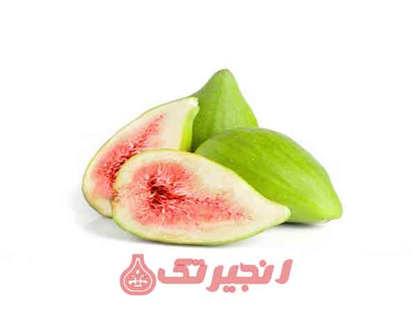 انجیر گلابی یکی از انواع میوه های خوراکی و مفید است که درخت آن معمولاً به ارتفاع ۵-۱۰ متر می رسد. برگ های این درخت بر روی ساقه های گلابی رشد می کند و میوه هایش به صورت دسته هایی به صورت بلوطی تراکم دارند. انجیر گلابی با رنگ قهوه ای تیره تا بنفشه ای روشن و با لطافت در قسمت پوست میوه خود، معمولاً در ف ...