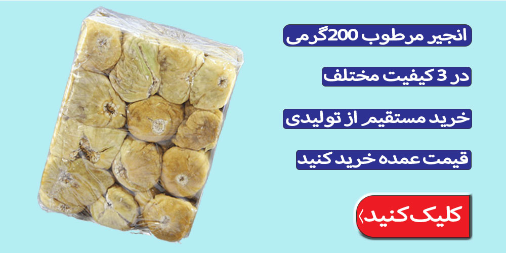 انجیر مرطوب پرسی - 