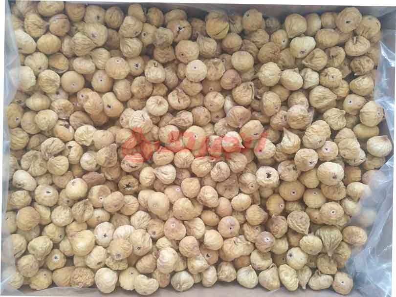 منطقه استهبان این محصول را به صورت انجیر صادراتی بسته بندی شده، به کشورهای مختلف ارسال میکند. انجیر صادراتی بسته بندی از بهترین و با کیفیت ترین محصولات یک باغ و تولیدات یک کشور صورت میگیرد. انجیر با توجه به آمار به دست آمده از میزان انجیر تولیدی در سراسر دنیا، به صورت سالانه، یک میلیون و دویست هزار  ...