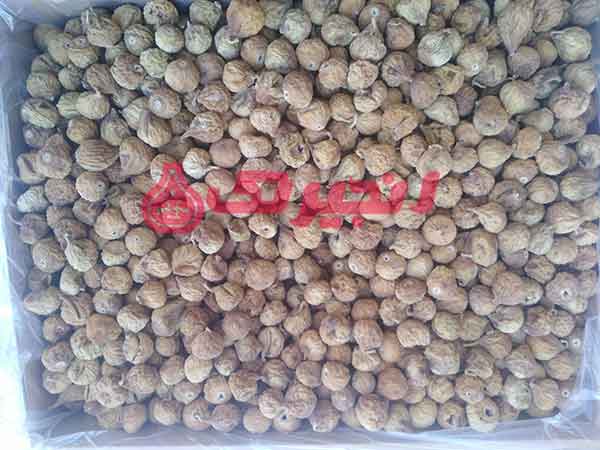 به دلیل تولید بالای انجیر در ایران، تعداد صنایع و کسب و کارهای وابسته به تولید این میوه در کشورمان می تواند قابل توجه باشد. برای مثال تولید انجیر خشک در ایران، به صورت های مختلف در شهرستانهای سراسر ایران انجام میشود که فروش خشکبار آن به صورت خانگی، عمده توسط باغداران و کارخانجات مختلف صورت میگیرد. ا ...