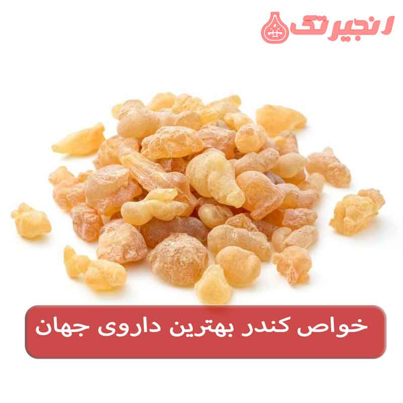 کندر یکی از گیاهان دارویی و طبیعی است که در بسیاری از مناطق جهان مورد استفاده قرار می‌گیرد. کندر صمغ گیاهی است که مزه‌ای تلخ دارد و جویدن یا مصرف عصاره آن برای درمان و پیشگیری از بسیاری از بیماری‌ها از جمله جلوگیری از آلزایمر، تقویت حافظه، تقویت لثه و دندان بسیار مؤثر است؛ در این مطلب به خواص کندر ب ...