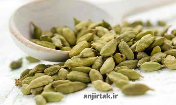 معرفی هل   تاریخچه و خاستگاه هل هل ادویه ای معطر و خوش طعم است که از دیرباز در آشپزی و طب سنتی مورد استفاده قرار می گرفته است. منشا اصلی هل جنوب شرقی آسیا، به ویژه هند و گواتمالا است. شواهد نشان می دهد که کشت هل از 4000 سال قبل در هند آغاز شده است. در مصر باستان، هل به عنوان دارویی برای درمان مشکلات ...