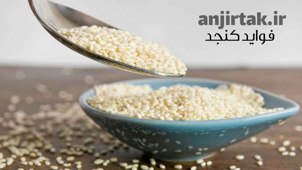 کنجد، این دانه کوچک و خوش‌طعم، که از دیرباز در سفره ایرانی‌ها جایگاه ویژه‌ای داشته، سرشار از فواید و خواص بی‌نظیری است که آن را به یک ماده غذایی ارزشمند تبدیل می‌کند. در این مقاله قصد داریم به بررسی خواص شگفت‌انگیز کنجد برای سلامتی و زیبایی بپردازیم و به شما بگوییم که چگونه می‌توانید از این گنجینه م ...