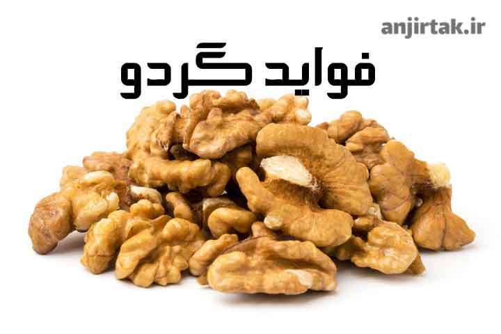 گردو، این مغز خوشمزه و مغذی، از دیرباز به عنوان یکی از خوراکی‌های محبوب در سفره ایرانی شناخته می‌شود. اما آیا می‌دانستید که گردو فراتر از یک طعم دلنشین، خواص بی‌شماری برای سلامتی بدن دارد؟ در این مقاله، به بررسی فواید شگفت‌انگیز گردو برای سلامتی بخش‌های مختلف بدن می‌پردازیم. 1. خواص گردو و سلامت قلب ...
