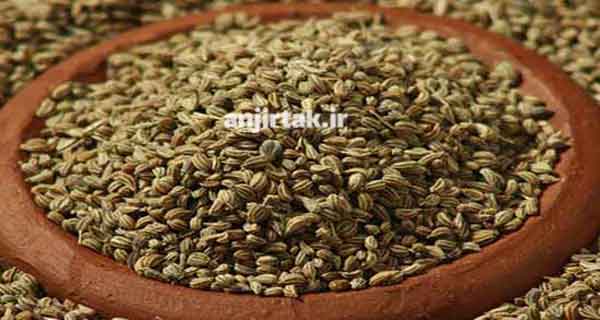 معرفی زنیان و پیشینه‌ی مصرف زنیان آن در فرهنگ‌های مختلف زنیان، گیاهی معطر و خوشبو از خانواده چتریان، با نام علمی Cuminum cyminum، از دیرباز در فرهنگ‌های مختلف به عنوان ادویه و داروی گیاهی مورد استفاده قرار گرفته است. زنیان بومی منطقه مدیترانه و آسیای غربی است و در حال حاضر در بسیاری از نقاط جهان از  ...
