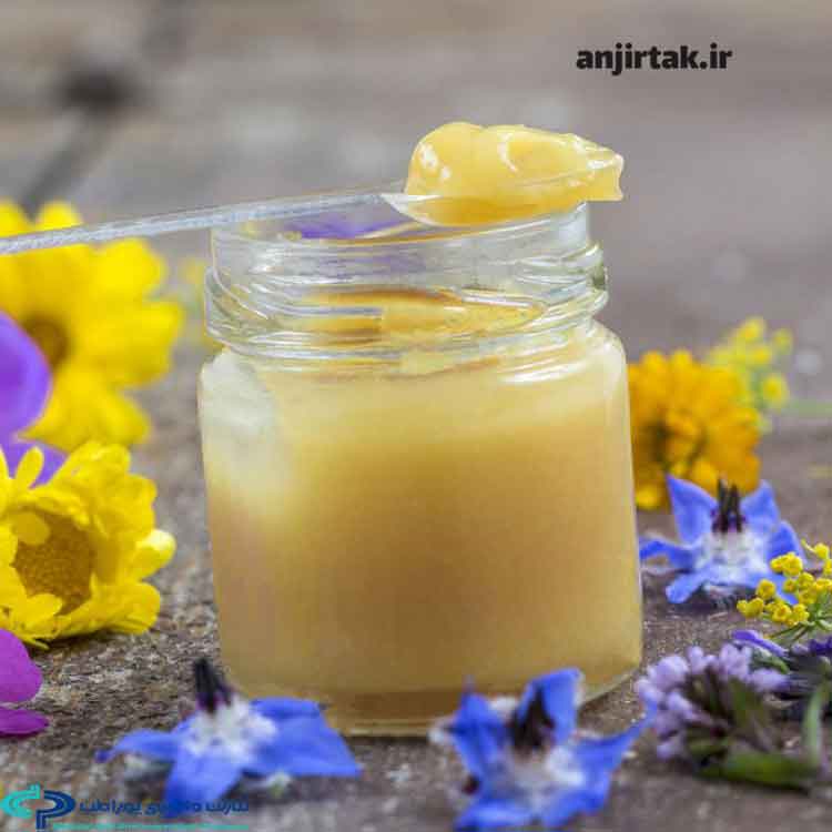 ژل رویال و خواص ژ رویال  چیست ؟ ژل رویال، ماده‌ای ژلاتینی و شیری‌رنگ که زنبورهای عسل برای تغذیه ملکه و نوزادانشان تولید می‌کنند، از دیرباز به عنوان "اکسیر سلامتی و جوانی" شناخته می‌شود. این ماده مغذی و کمیاب، به دلیل دارا بودن طیف وسیعی از ویتامین‌ها، مواد معدنی، آنتی‌اکسیدان‌ها و اسیدهای آمینه، فوا ...
