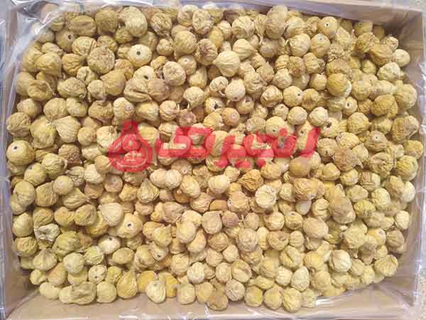 اگر فکر میکنید شهر تهران خود تولید کننده انجیر است، اشتباه می کنید. شما برای خرید انجیر در بازار تهران، باید از بین انجیرهای تولیدی در سراسر کشور محصول خود را انتخاب کنید. قیمت انجیر در تهران بسته به توزیع گسترده یا فروش خرد، متفاوت است. اگر تهران توزیع کننده عمده و اصلی محصول به سراسر کشور باشد، قی ...