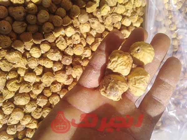 کسانی که خواهان انجیر به صورت فله هستند، باید بانک یا مرکزی که به فروش انجیر فله مشغول است را پیدا کنند. این مراکز به صورت حضوری و اینترنتی به ارائه خدمت مشغول میباشند. قیمت انجیر خشک فله بسته به فاکتورهای مختلفی تعیین میشود که قبل از خرید بهتر است در مورد آن اطلاعاتی بیابید. انجیر در دسته و بسته بن ...