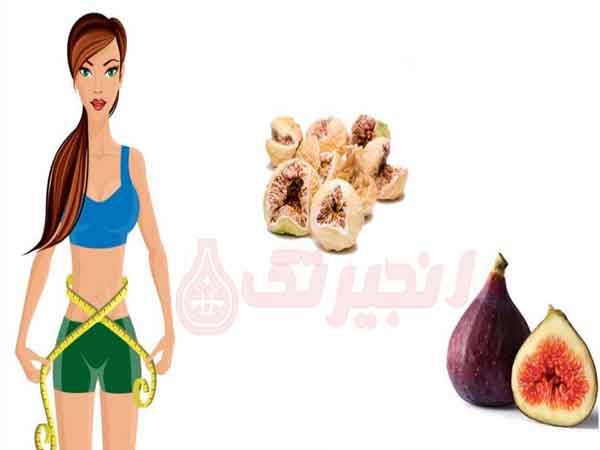 کالری انجیر خشک یکی از سووالات مهم کاربران است. محتوای کالری انجیر خشک به میزان وزن و حجم مصرفی آن بستگی دارد. با این حال، معمولاً یک انجیر خشک حدود ۲۴ کالری دارد. بنابراین، اگر شما می‌خواهید تعداد کالری‌های مصرفی خود را کنترل کنید، باید توجه داشته باشید که تعداد انجیرهایی که مصرف می‌کنید و وزن هر ا ...