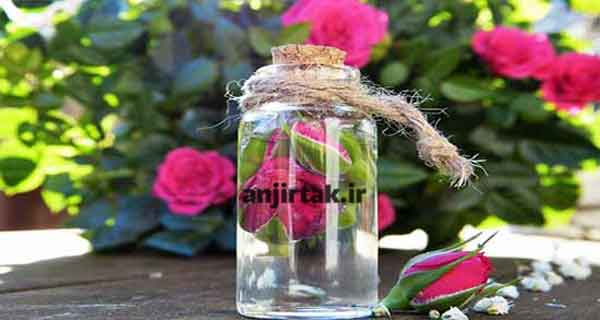 1. گلاب چشم را آرام می کند این ماده معطر حاوی فلاونوئیدها، آنتوسیانین ها و ترپن ها است. علاوه بر این، گلاب سرشار از ترکیبات فنلی است که نه تنها به عنوان آنتی اکسیدان بلکه به عنوان پاک کننده رادیکال های آزاد، ضد التهاب و ضد افسردگی نیز عمل می کند. بنابراین وقتی آن را روی چشمان خود بمالید، فورا چشم را ...