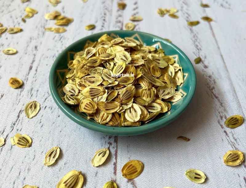 خواص گلپر: ادویه‌ای معطر با فواید بی‌نظیر گلپر، گیاهی علفی و چندساله از تیره چتریان، بومی ایران است که در نواحی مرطوب کوهستانی و مناطق پیرامونی آن می‌روید. این گیاه معطر، علاوه‌بر طعم و عطر منحصر به فردی که به غذا می‌بخشد، از خواص دارویی فراوانی نیز برخوردار است که در طب سنتی ایرانی به خواص گلپر  تو ...