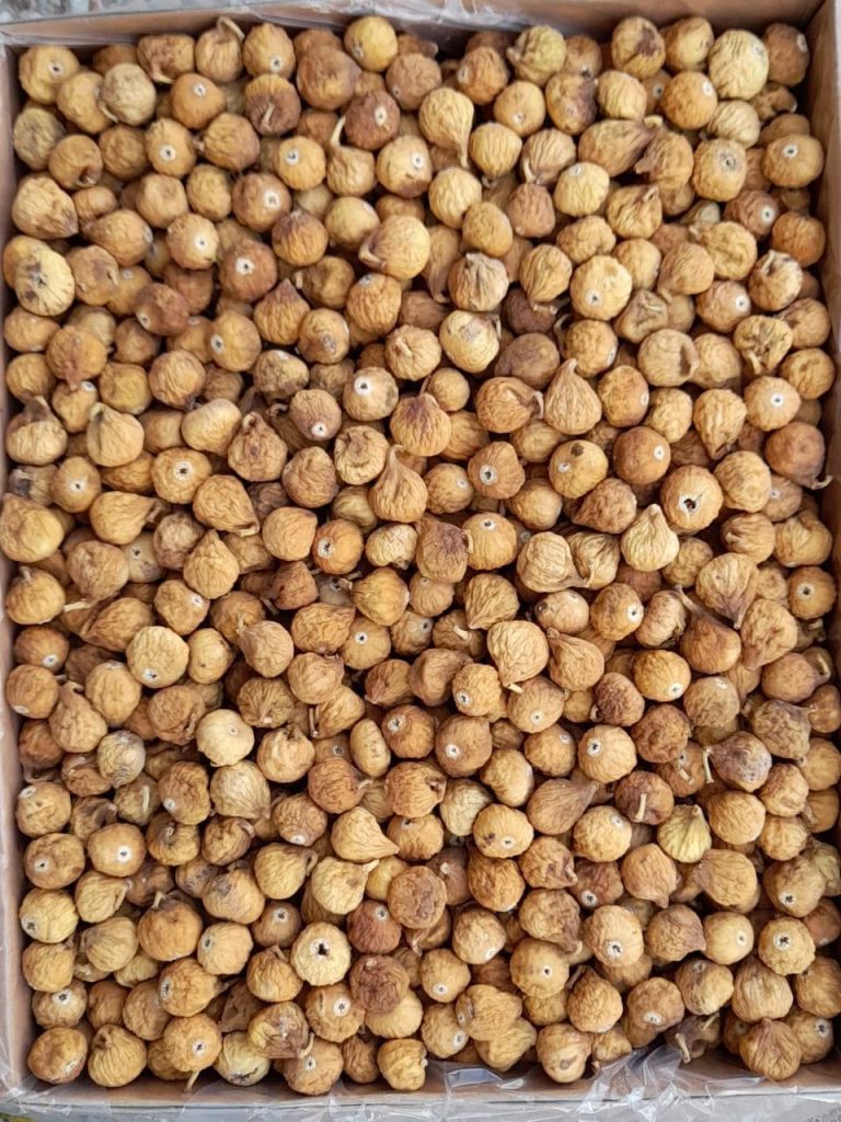 انجیر سایز متوسط معمولی +AA کارتن 10 کیلویی-