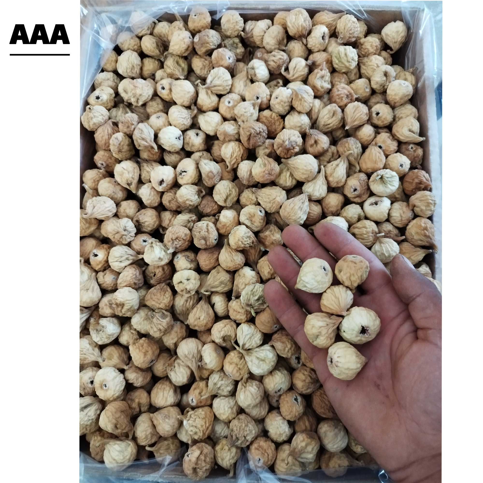 انجیردرشت دستچین AAA سوپر کارتن 9 کیلویی - فروش انجیردرشت AAA در بسیاری از شهر ها رونق بسار زیادی دارد و بسیاری از تولید کنندگان و صادر کنندگان انجیر سوپر را سفارش میدهند.
دسته بندی قیمت انجیر خشک 
مرور گر شما از این قابلیت پشتیبانی نمیکند(ویدئو)
همان طور که میدانید پس از برداشت انجیر و خشک شدن طبیعی انجیر روی درخت بوسیله باد میوه های رسی ...