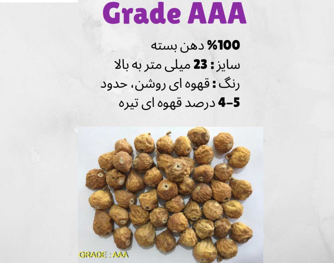 انجیر معمولی دورنگ سایز درشت کارتن 9 کیلویی-