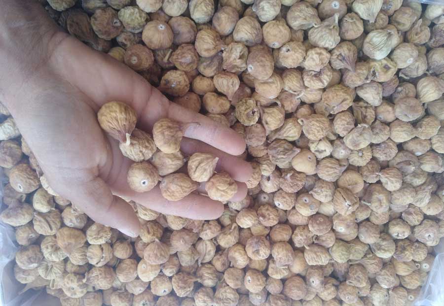 انجیر معمولی دورنگ سایز درشت کارتن 9 کیلویی-