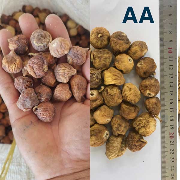 انجیر لاکی AAx کارتن 10کیلویی-